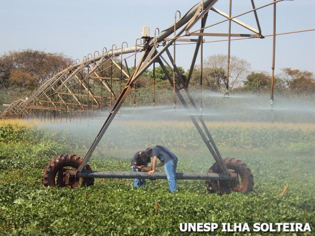 cerrado_10_set_2012 (9).JPG